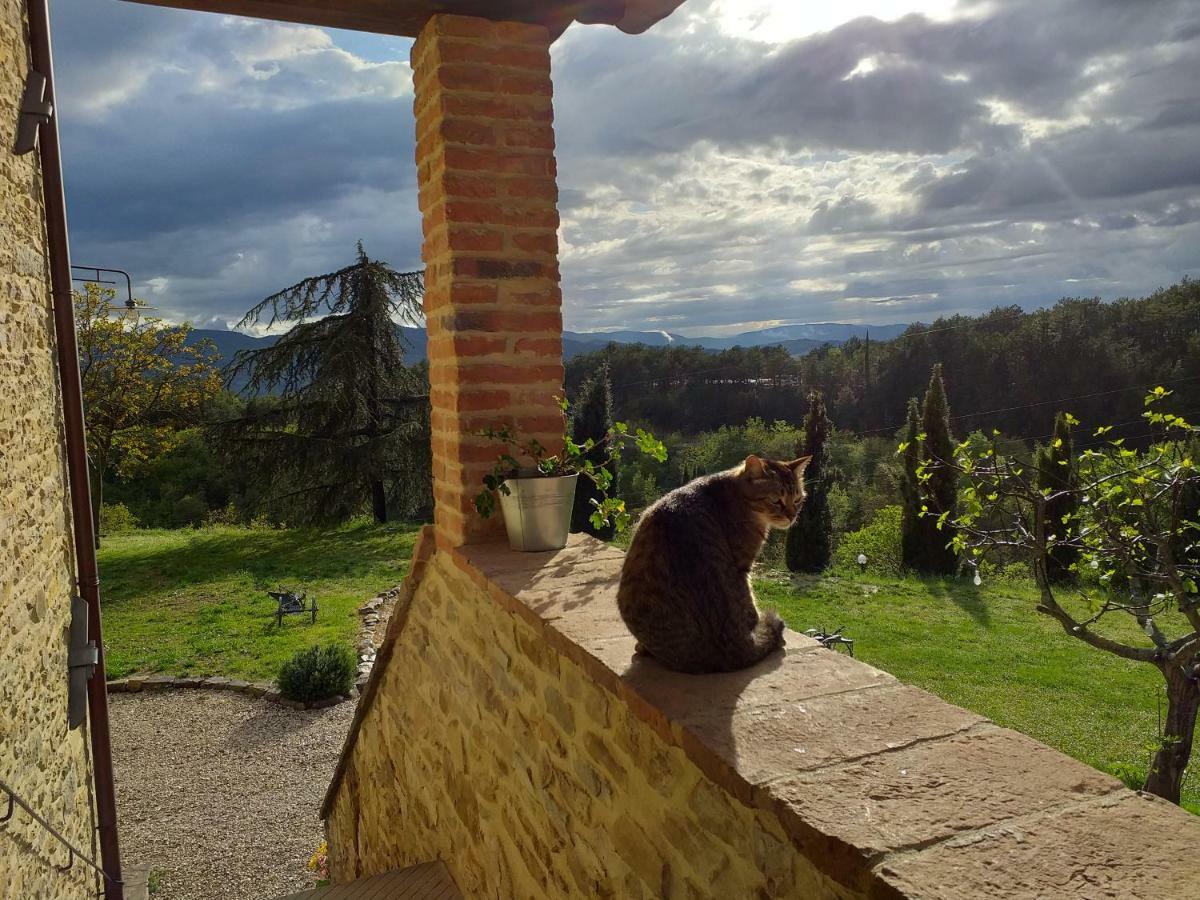 Le Terre Di Caprano Hotel Città di Castello Kültér fotó